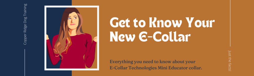 E-Collar Technologies Mini Educator