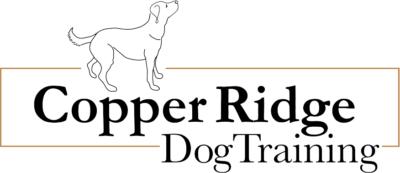 Copper Ridge Dog Training